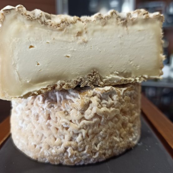Arriba 98+ Foto queso de leche de oveja con hongo penicillium Lleno