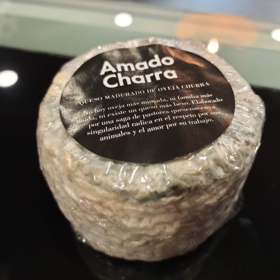 Queso madurado de oveja churra con pencillium roqueforti