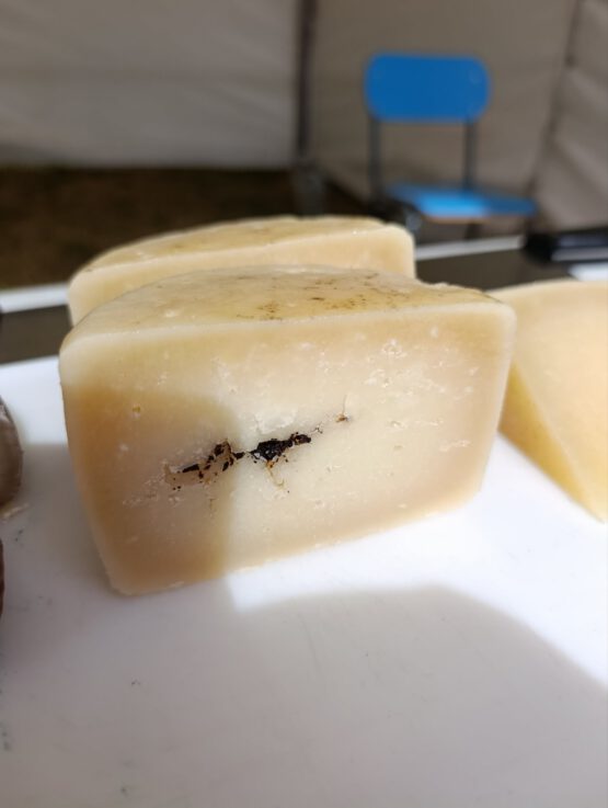 Queso madurado de oveja churra con trufa - Imagen 5